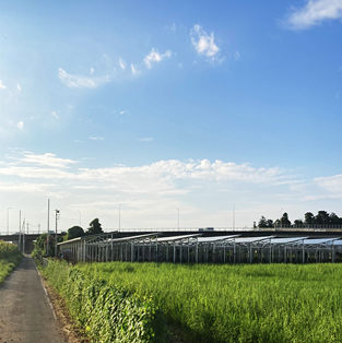 Sistema de montaje de tierras agrícolas fotovoltaicas en Japón-1MW